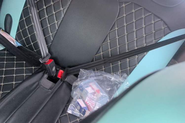 Used Chery QQ Little Ant 2021 150 000 Yuan Ant Fan Edition Queen Version Lithium Iron Phosphate Left Rear Seat