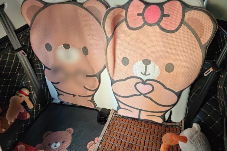 Used Chery QQ Little Ant 2021 200 000-Yuan Ant Fan Edition Oxygen Version Lithium Iron Phosphate 301 km Left Rear Seat