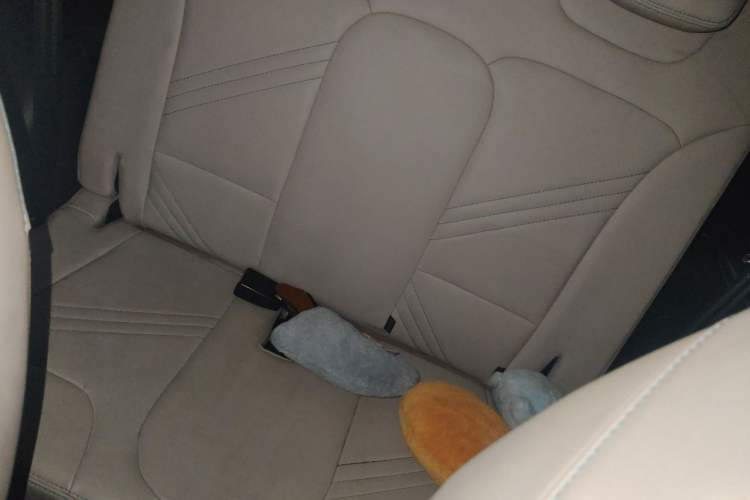 Used Chery QQ Little Ant 2021 200 000-Yuan Ant Fan Edition Oxygen Version Lithium Iron Phosphate 301 km Left Rear Seat