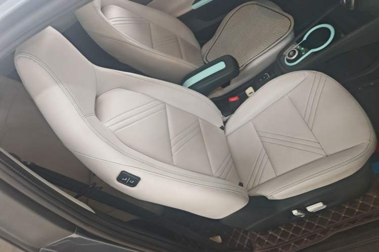 Used Chery QQ Little Ant 2021 200 000 Yuan Ant Fan Edition Energized Version Lithium Iron Phosphate 301 km Right Front Seat