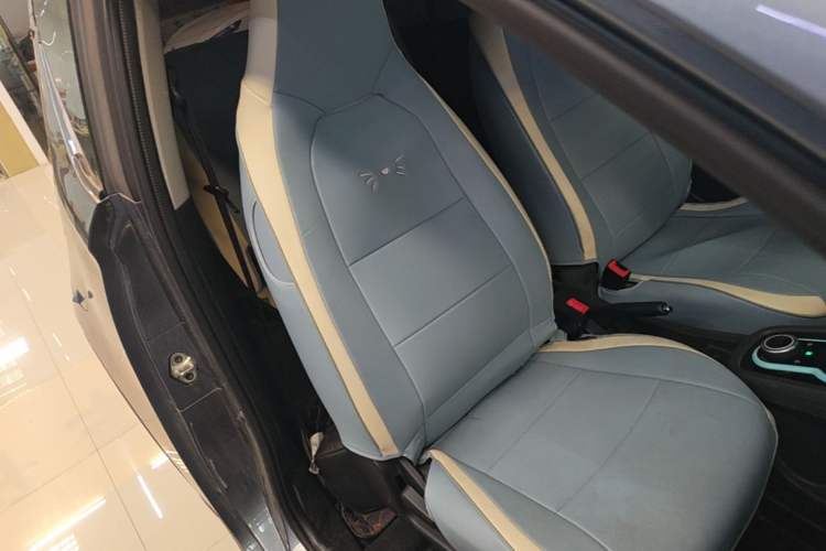 Used Chery QQ Little Ant 2021 150 000 Yuan Ant Fan Edition Ant Trend Version Lithium Iron Phosphate Right Front Seat