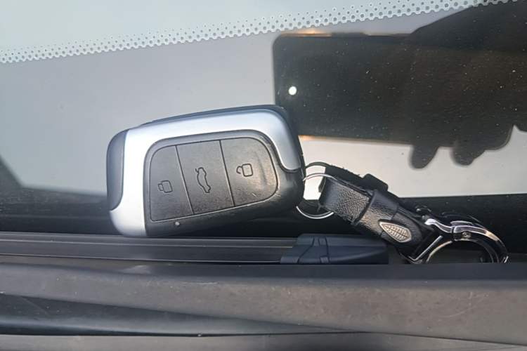 Used Chery QQ Little Ant 2021 150 000 Yuan "Ant Fan" Edition New Ant Xuan Version Lithium-NMC Battery Vehicle Key