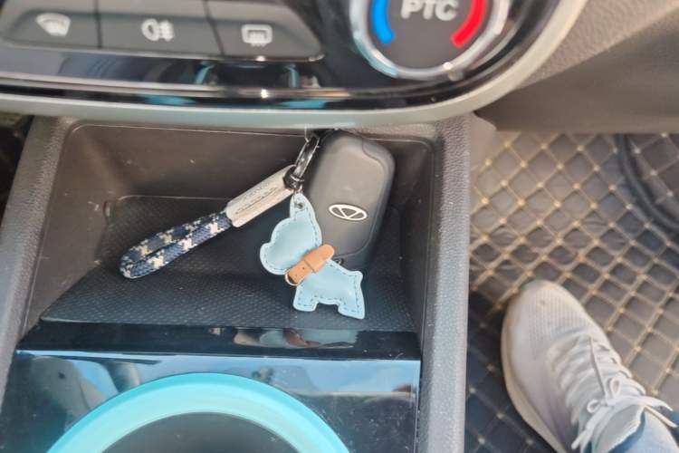 Used Chery QQ Little Ant 2021 Revised Version 150 000 Yuan Ant Fan Edition New Ant Cool Edition Lithium Iron Phosphate Vehicle Key