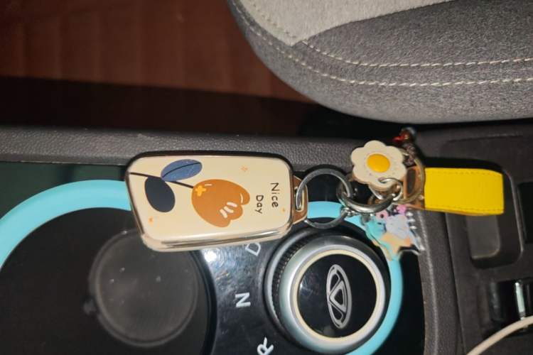 Used Chery QQ Little Ant 2021 150 000 Yuan "Ant Fan" Edition New Ant Xuan Version Lithium-NMC Battery Vehicle Key