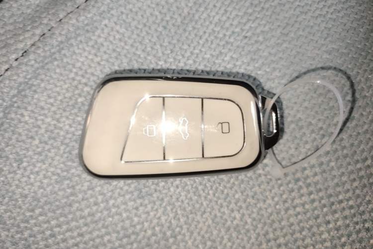 Used Chery QQ Little Ant 2021 150 000 Yuan Ant Fan Edition Ant Cool Version Lithium Iron Phosphate Vehicle Key
