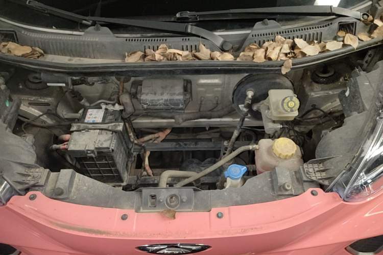 Used Chery QQ Little Ant 2021 200 000-Yuan Ant Fan Edition Talent Version NMC Battery 301 km Engine Bay