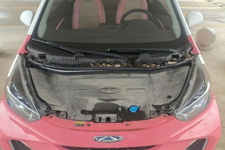 Used Chery QQ Little Ant 2021 150 000 Yuan "Ant Fan" Edition New Ant Cool Version Lithium-Ion Battery Engine Bay