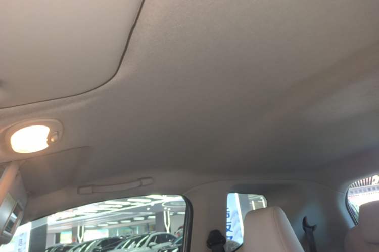 Used Chery QQ Little Ant 2021 200 000-Yuan Ant Fan Edition Talent Version Lithium Iron Phosphate 301 km Headliner