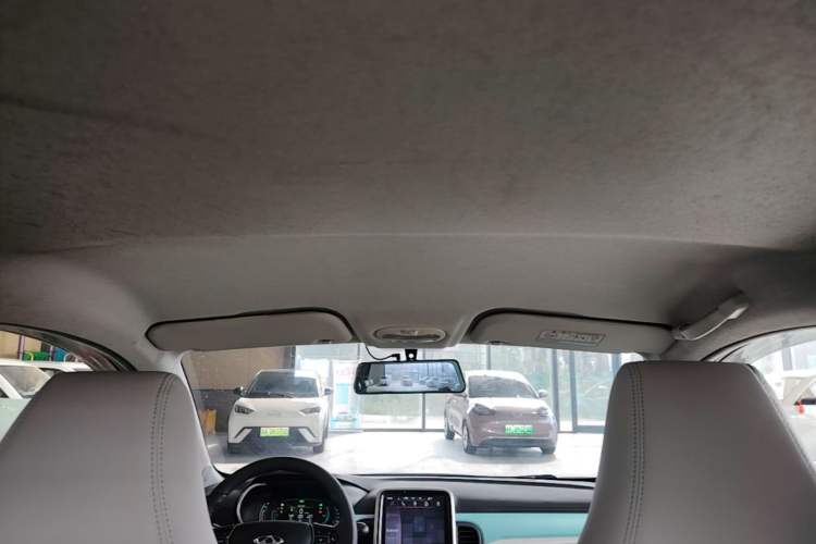 Used Chery QQ Little Ant 2021 200 000-Yuan Ant Fan Edition Talent Version NMC Battery 301 km Headliner