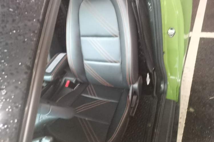 Used Chery QQ Little Ant 2021 150 000 Yuan "Ant Fan" Edition New Ant Cool Version Lithium-Ion Battery Left Front Seat
