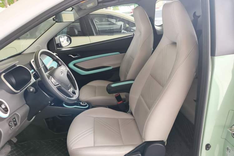 Used Chery QQ Little Ant 2021 200 000 Yuan "Ant Fan" Edition Energized Version NMC Lithium Battery 301 km Left Front Seat