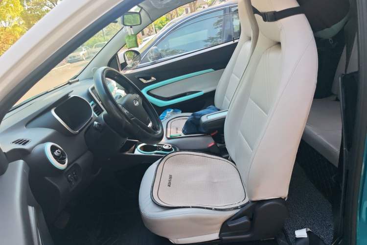 Used Chery QQ Little Ant 2021 200 000 Yuan Ant Fan Edition Energized Version Lithium Iron Phosphate 301 km Left Front Seat