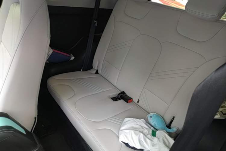 Used Chery QQ Little Ant 2021 200 000-Yuan Ant Fan Edition Oxygen Version Lithium-Ion Battery 301 km Left Rear Seat