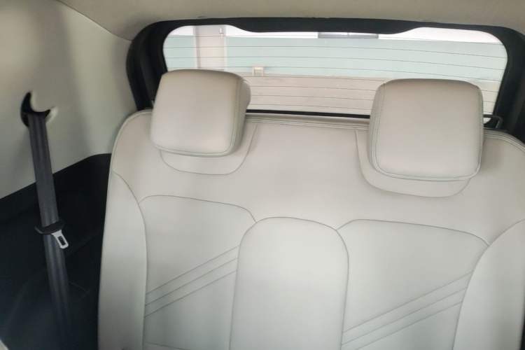 Used Chery QQ Little Ant 2021 200 000 Yuan "Ant Fan" Edition Energized Version NMC Lithium Battery 301 km Left Rear Seat