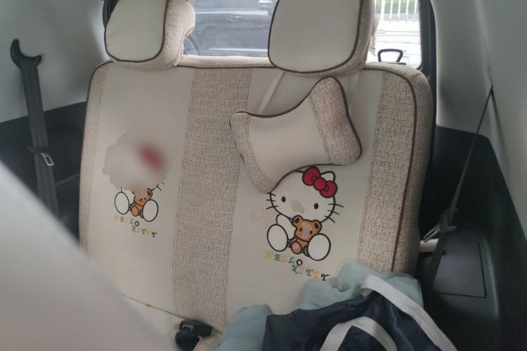 Used Chery QQ Little Ant 2021 200 000-Yuan Ant Fan Edition Oxygen Version Lithium Iron Phosphate 301 km Left Rear Seat