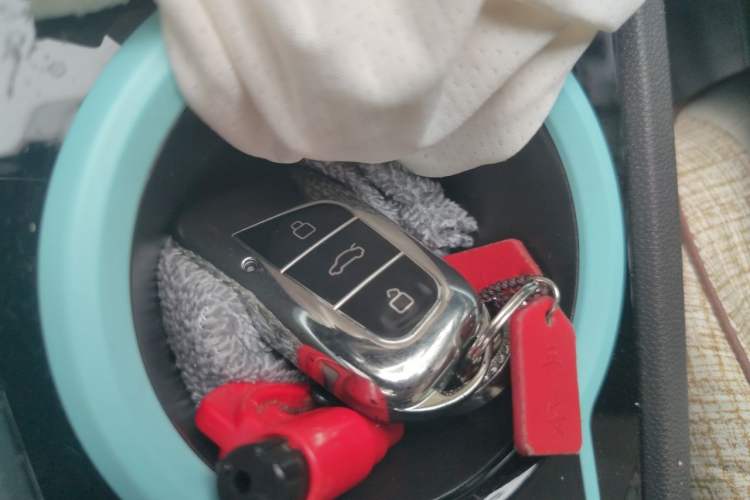 Used Chery QQ Little Ant 2021 200 000-Yuan Ant Fan Edition Oxygen Version Lithium Iron Phosphate 301 km Vehicle Key