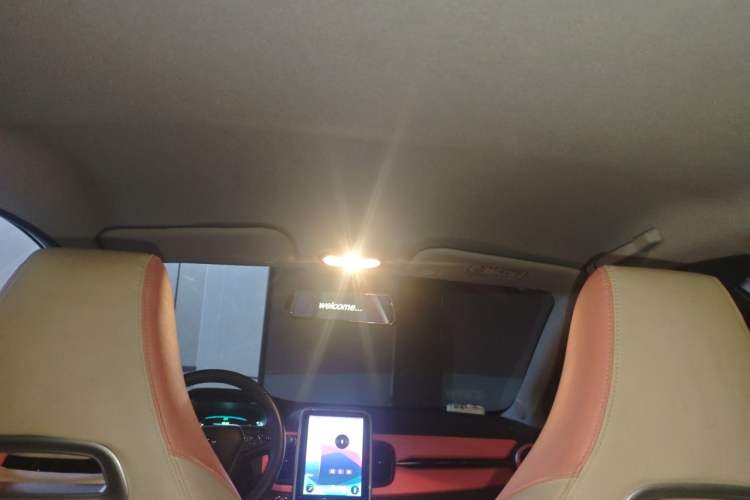 Used Chery QQ Little Ant 2021 200 000-Yuan Ant Fan Edition Oxygen Version Lithium Iron Phosphate 301 km Headliner