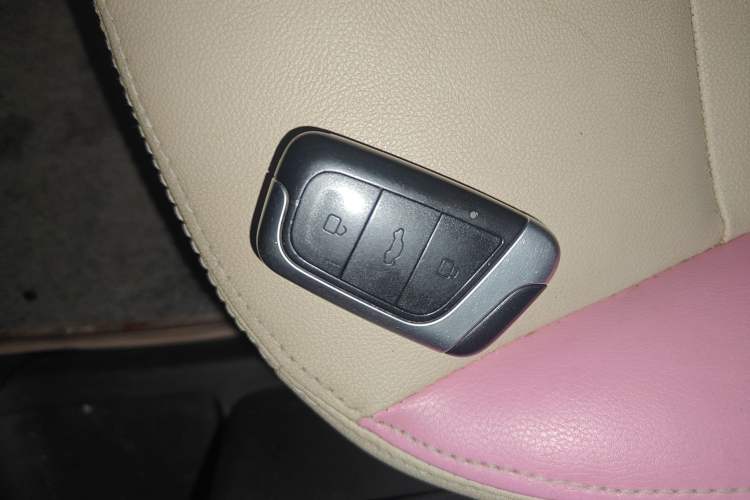 Used Chery QQ Little Ant 2021 200 000-Yuan Ant Fan Edition Talent Version Lithium Iron Phosphate 301 km Interior 1