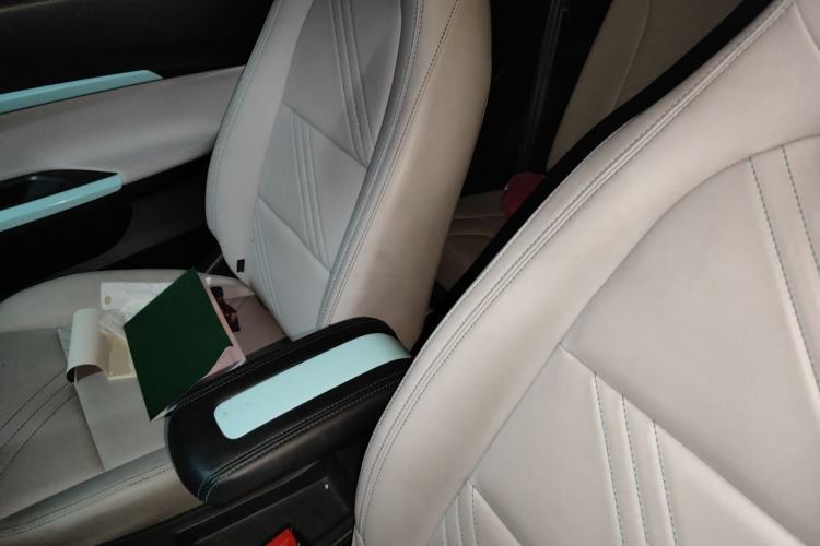 Used Chery QQ Little Ant 2021 200 000-Yuan Ant Fan Edition Talent Version Lithium Iron Phosphate 301 km Left Front Seat