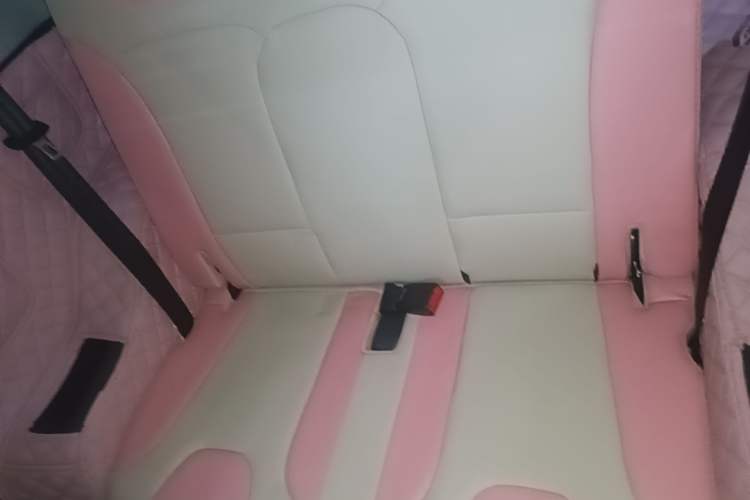 Used Chery QQ Little Ant 2021 150 000 Yuan Ant Fan Edition Queen Version Lithium Iron Phosphate Left Rear Seat