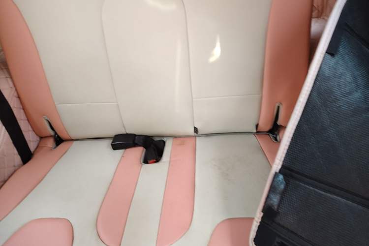 Used Chery QQ Little Ant 2021 150 000 Yuan "Ant Fan" Edition New Ant Cool Version Lithium-Ion Battery Left Rear Seat