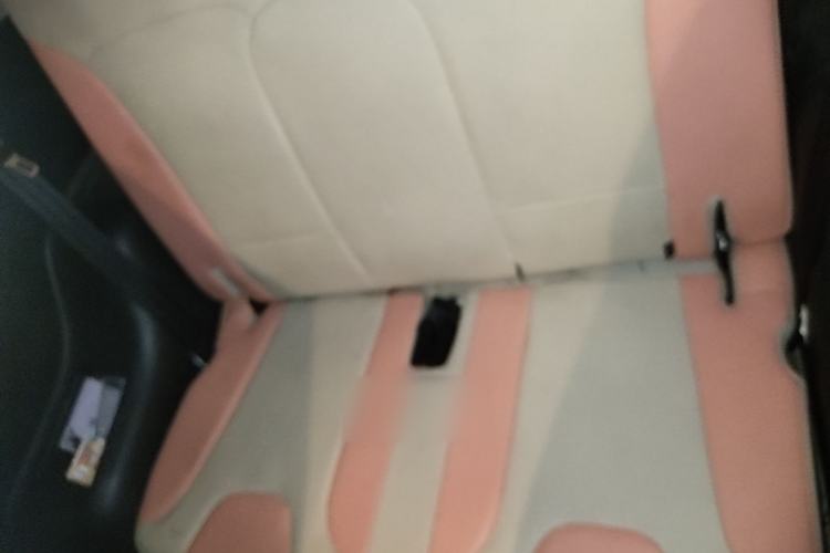 Used Chery QQ Little Ant 2021 200 000-Yuan Ant Fan Edition Talent Version NMC Battery 301 km Left Rear Seat