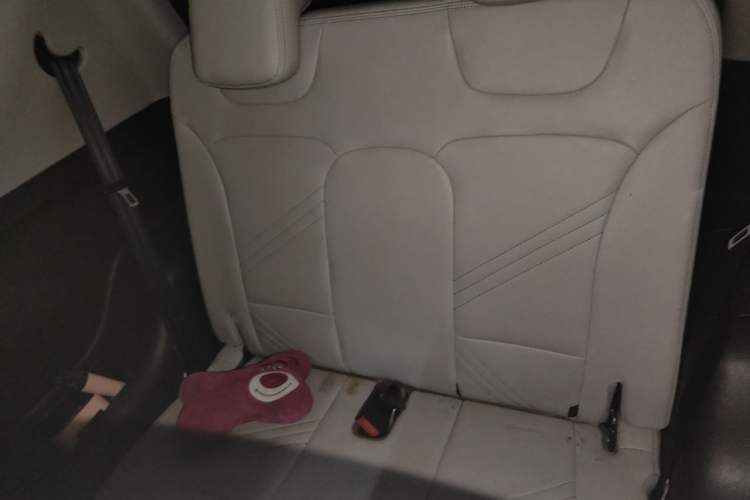 Used Chery QQ Little Ant 2021 200 000-Yuan Ant Fan Edition Talent Version Lithium Iron Phosphate 301 km Left Rear Seat