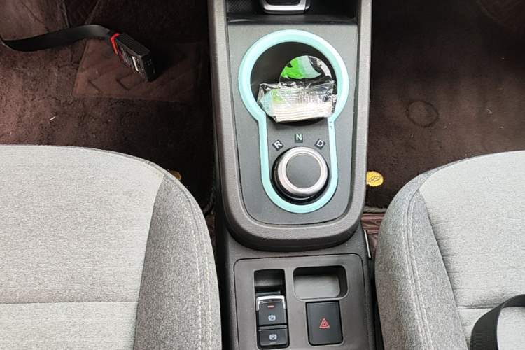 Used Chery QQ Little Ant 2021 200 000-Yuan Ant Fan Edition Oxygen Version Lithium-Ion Battery 301 km Gear Lever