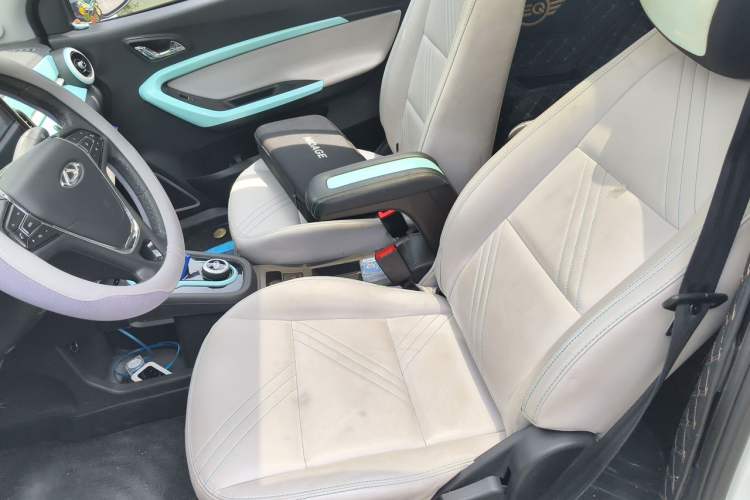Used Chery QQ Little Ant 2021 200 000 Yuan "Ant Fan" Edition Energized Version NMC Lithium Battery 301 km Left Front Seat