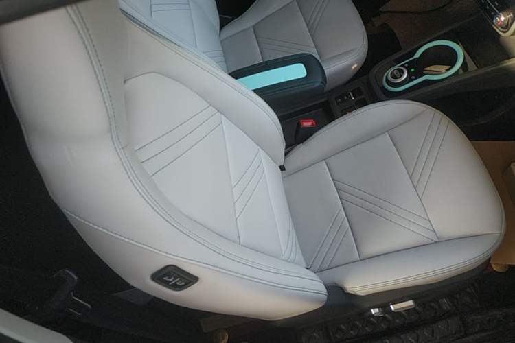 Used Chery QQ Little Ant 2021 150 000 Yuan "Ant Fan" Edition New Ant Cool Version Lithium-Ion Battery Right Front Seat