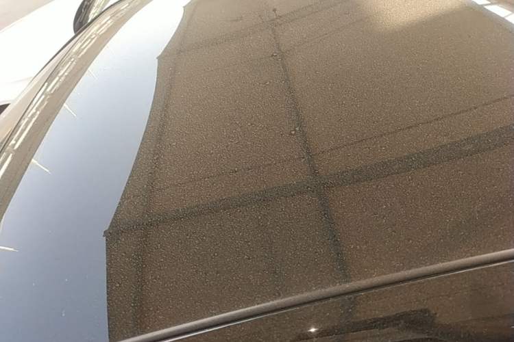 Used Chery QQ Little Ant 2021 150 000 Yuan "Ant Fan" Edition New Ant Cool Version Lithium-Ion Battery Roof