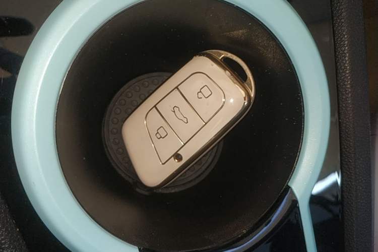Used Chery QQ Little Ant 2021 150 000 Yuan "Ant Fan" Edition New Ant Cool Version Lithium-Ion Battery Vehicle Key