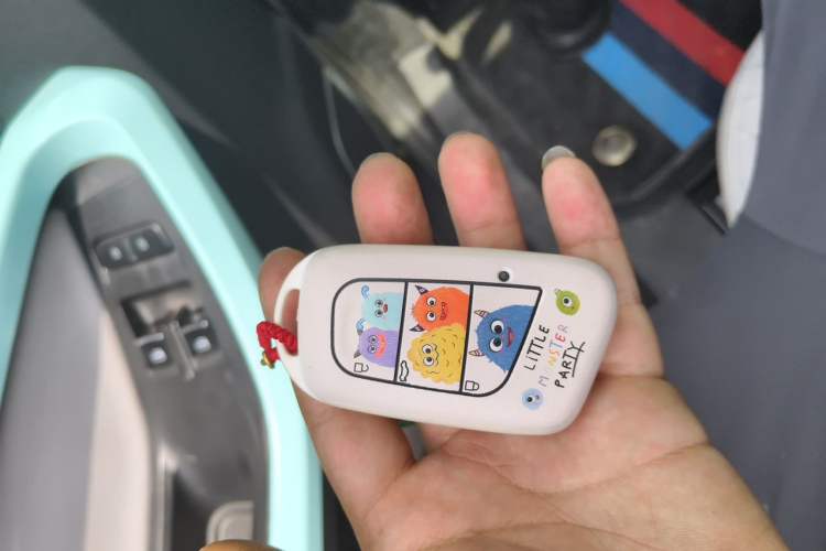 Used Chery QQ Little Ant 2021 200 000 Yuan "Ant Fan" Edition Energized Version NMC Lithium Battery 301 km Vehicle Key
