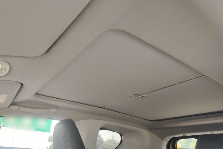 Used Chery QQ Little Ant 2021 200 000 Yuan "Ant Fan" Edition Energized Version NMC Lithium Battery 301 km Headliner