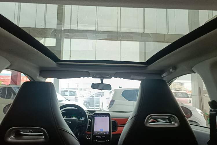 Used Chery QQ Little Ant 2021 200 000 Yuan "Ant Fan" Edition Energized Version NMC Lithium Battery 301 km Headliner