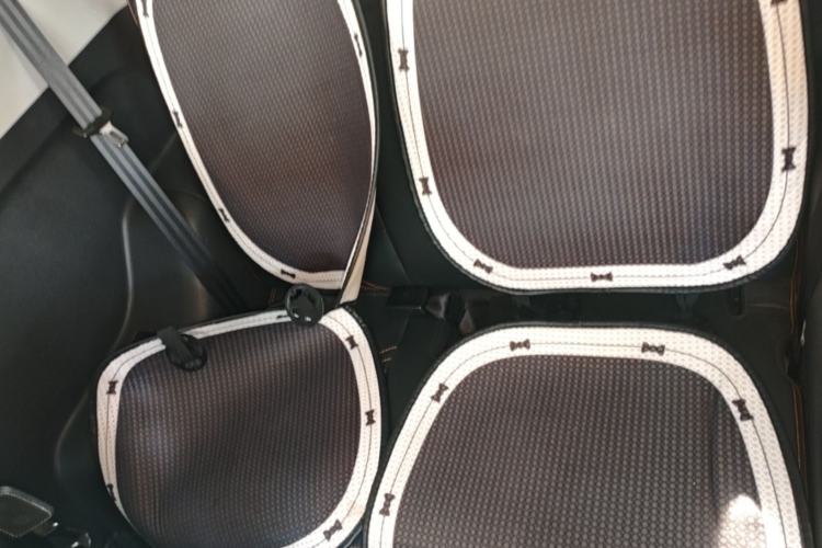 Used Chery QQ Little Ant 2021 200 000-Yuan Ant Fan Edition Oxygen Version Lithium-Ion Battery 301 km Left Rear Seat