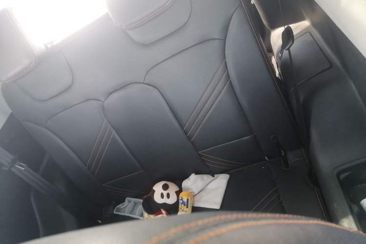 Used Chery QQ Little Ant 2021 200 000 Yuan "Ant Fan" Edition Energized Version NMC Lithium Battery 301 km Left Rear Seat