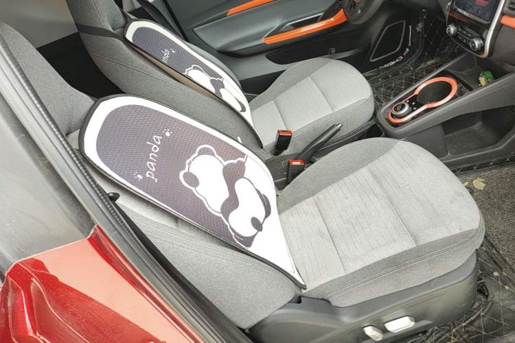 Used Chery QQ Little Ant 2021 150 000 Yuan Ant Fan Edition Ant Cool Version Lithium Iron Phosphate Right Front Seat
