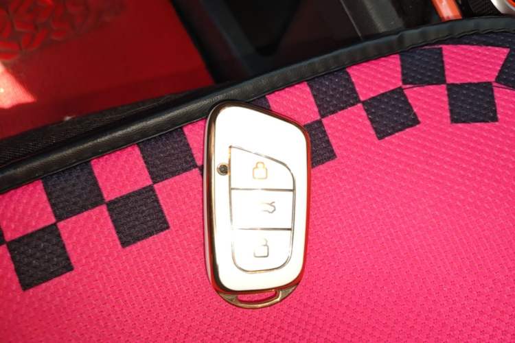 Used Chery QQ Little Ant 2021 200 000-Yuan Ant Fan Edition Oxygen Version Lithium-Ion Battery 301 km Vehicle Key