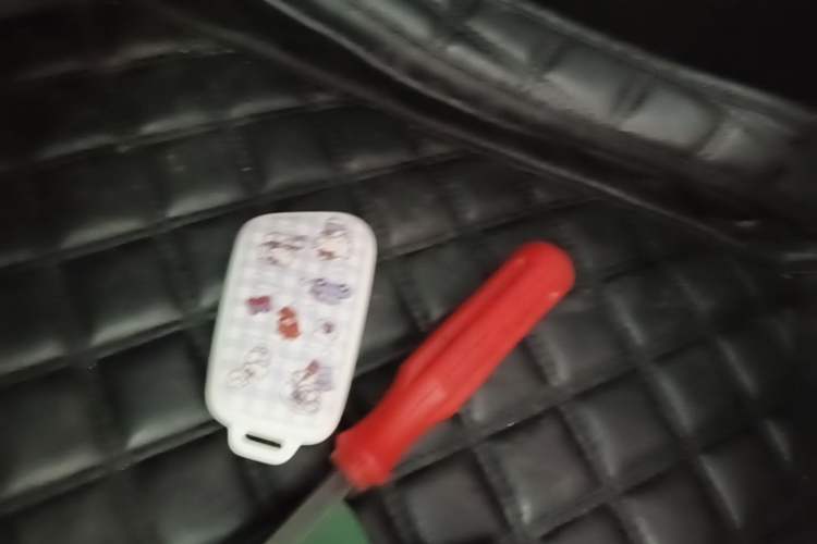 Used Chery QQ Little Ant 2021 200 000 Yuan "Ant Fan" Edition Energized Version NMC Lithium Battery 301 km Vehicle Key