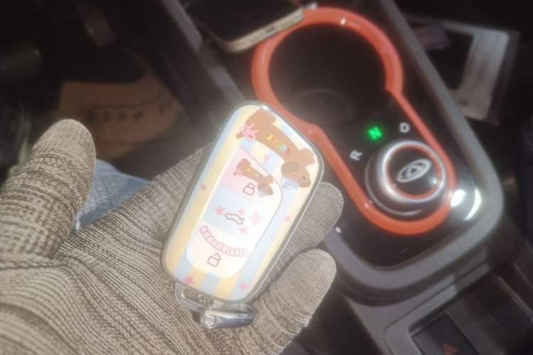 Used Chery QQ Little Ant 2021 150 000 Yuan Ant Fan Edition Ant Cool Version Lithium Iron Phosphate Vehicle Key
