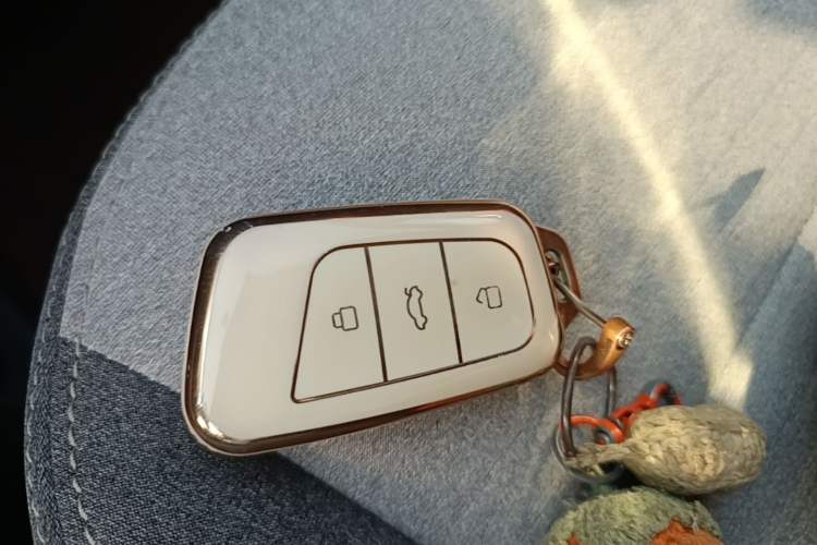 Used Chery QQ Little Ant 2021 150 000 Yuan Ant Fan Edition Ant Stylish Version Lithium-Ion Battery Vehicle Key