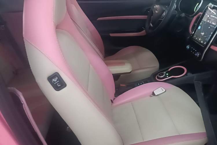 Used Chery QQ Little Ant 2021 150 000 Yuan Ant Fan Edition Queen Version Lithium Iron Phosphate Right Front Seat