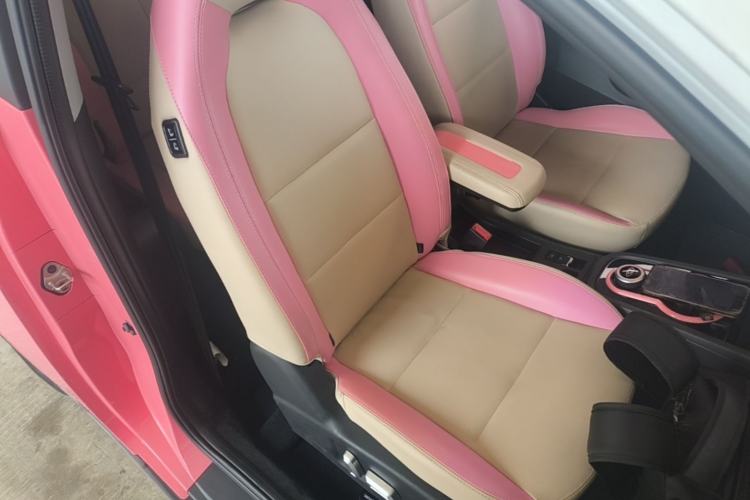 Used Chery QQ Little Ant 2021 150 000 Yuan "Ant Fan" Edition New Ant Cool Version Lithium-Ion Battery Right Front Seat