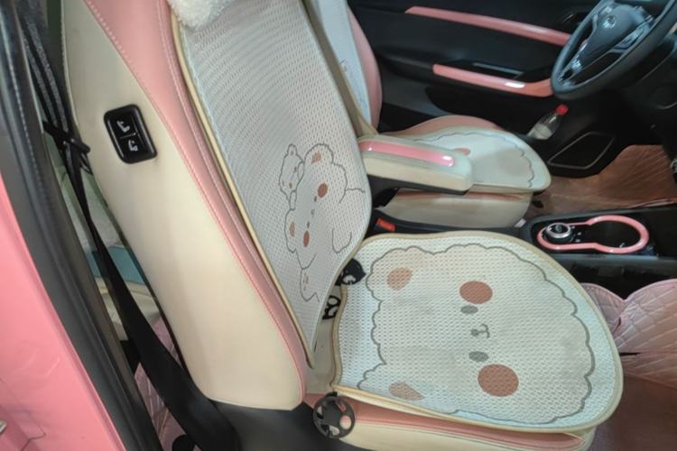 Used Chery QQ Little Ant 2021 200 000 Yuan Ant Fan Edition Energized Version NMC Lithium Battery 408 km Right Front Seat
