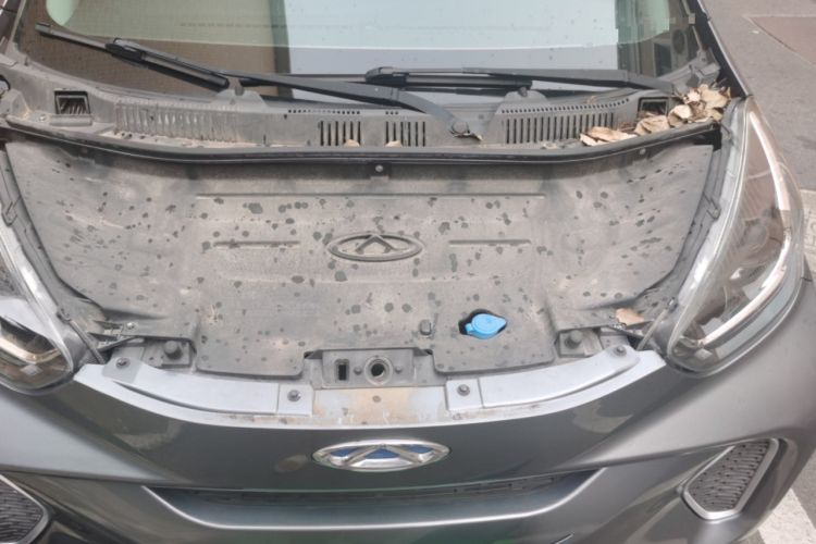 Used Chery QQ Little Ant 2021 150 000 Yuan Ant Fan Edition Ant Cool Version Lithium Iron Phosphate Engine Bay