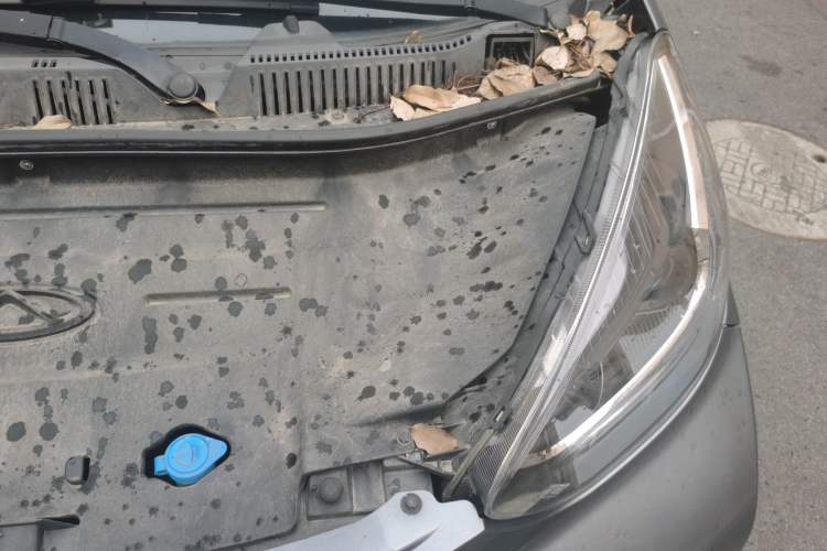 Used Chery QQ Little Ant 2021 150 000 Yuan Ant Fan Edition Ant Cool Version Lithium Iron Phosphate Engine Bay Left