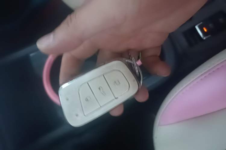 Used Chery QQ Little Ant 2021 150 000 Yuan Ant Fan Edition Queen Version Lithium Iron Phosphate Vehicle Key