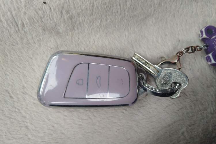 Used Chery QQ Little Ant 2021 200 000-Yuan Ant Fan Edition Talent Version NMC Battery 301 km Vehicle Key