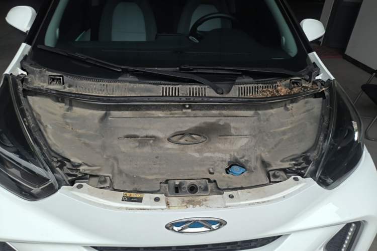 Used Chery QQ Little Ant 2021 150 000 Yuan "Ant Fan" Edition New Ant Xuan Version Lithium-NMC Battery Engine Bay